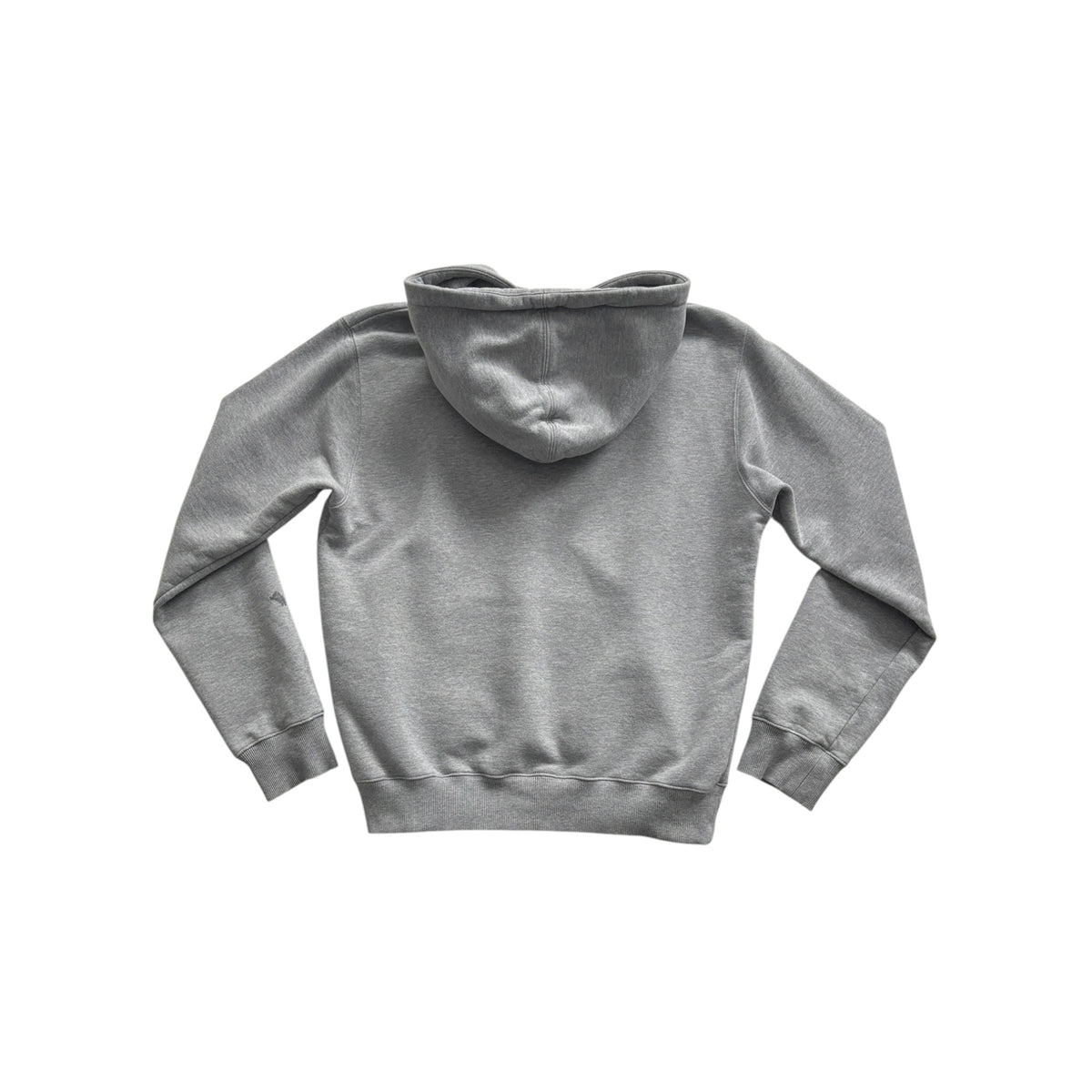 DIOR CD ICON HOODIE