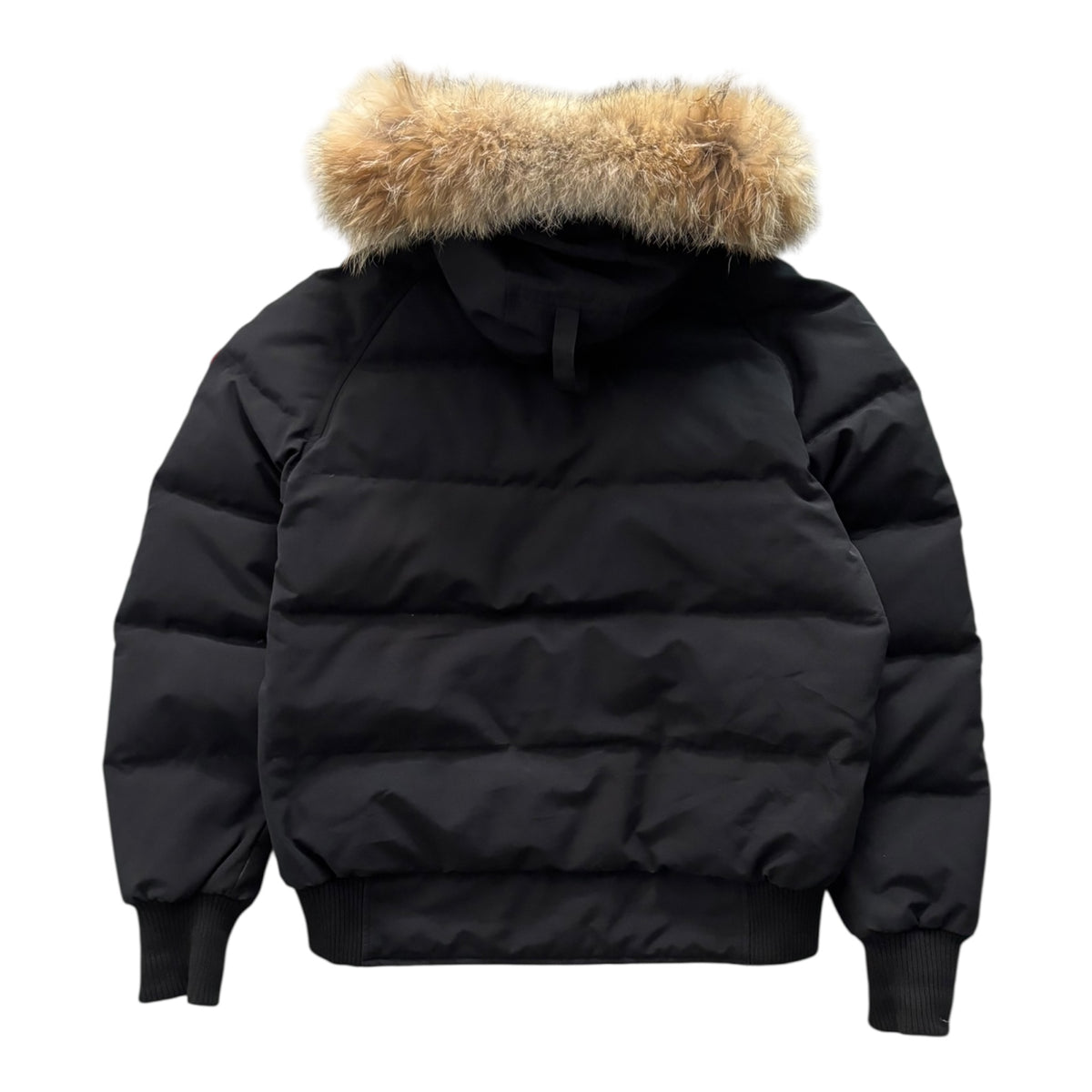 CANADA GOOSE WOMENS SAVANA BOMBER