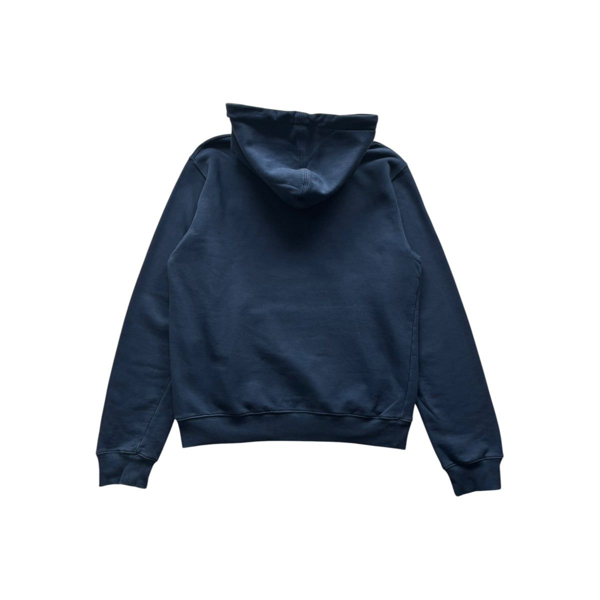 DIOR CD ICON HOODIE