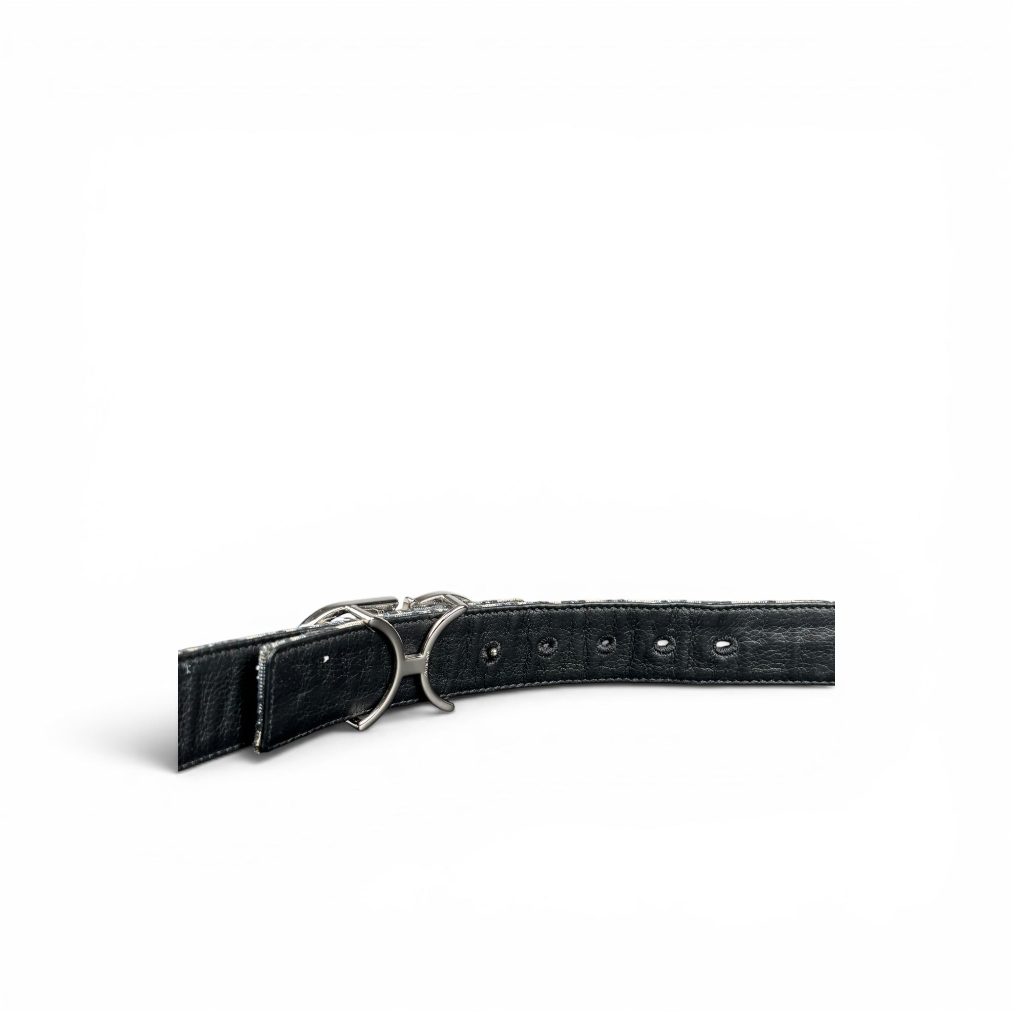 DIOR CD BELT
